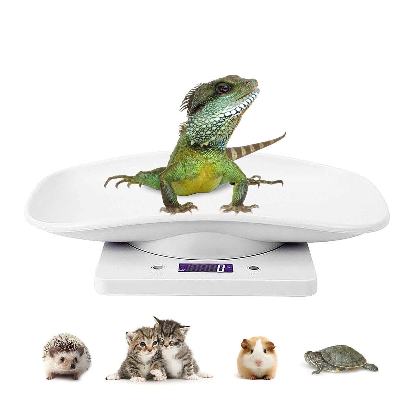 Digital Pet Scale LCD Electronic Small Animals Weighing Scale, Kitchen Food S...