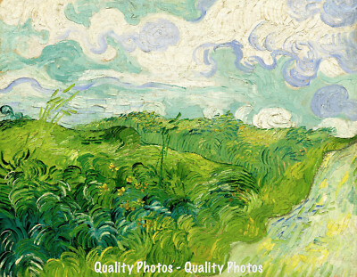 Green Wheat Fields 8.5x11'' Photo Print Vincent Van Gogh Painting Impressionism