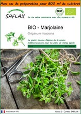 SAFLAX Jardin dans le sac - BIO - Marjolaine - 700 graines - Origanum