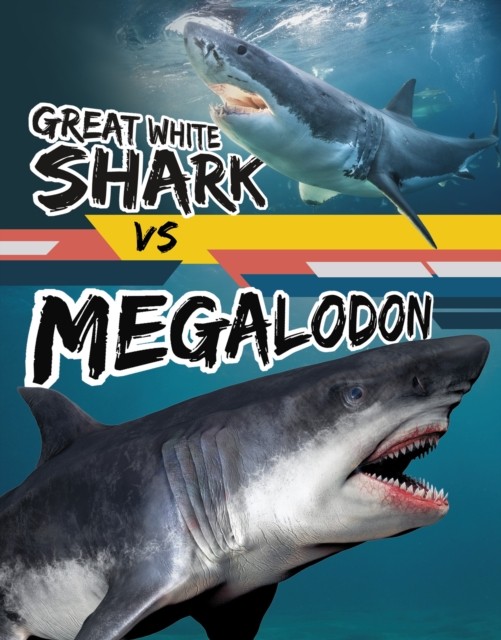 Great White Shark vs Megalodon by Charles C. Hofer (Hardback Book)