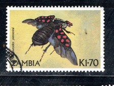 ZAMBIA AFRICA STAMPS USED LOT 62107
