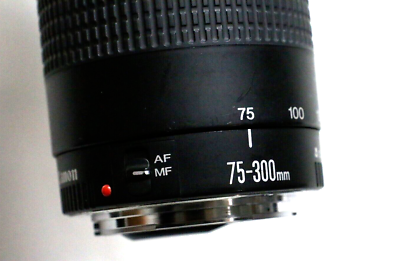 Canon EF 75-300mm f/4-5.6 III Telephoto Zoom Lens with ViLTROX