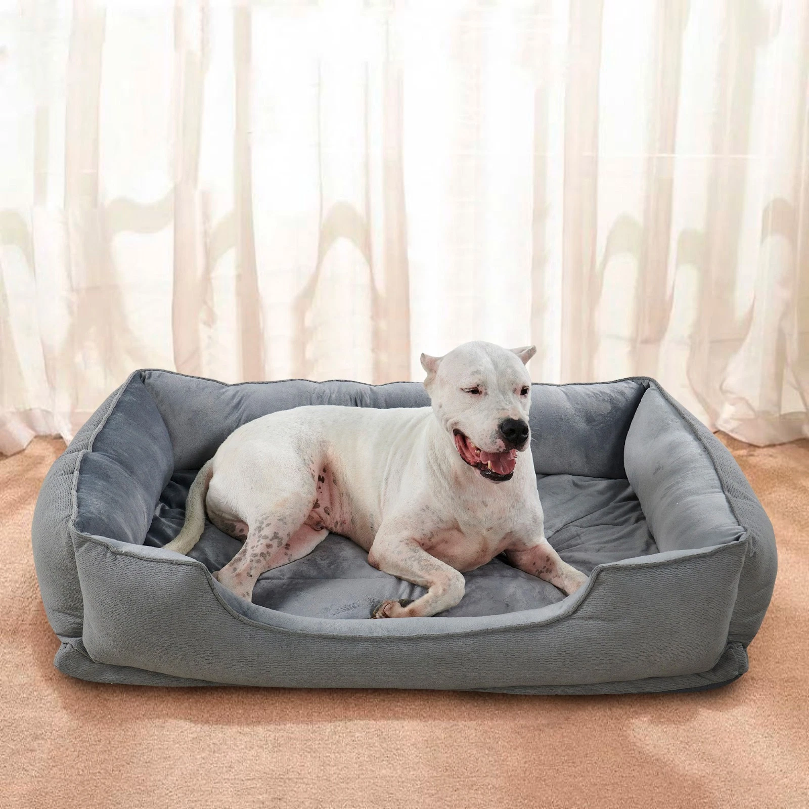 Calming Dog Bed for Small Medium Large Dogs –Washable Anti Anxiety Plush Pet Bed
Opens in a new wind