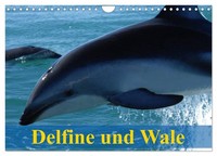 "Calendar 2027 · US Version · Dolphins And Whales (Wall Calendar 2027 12\" × 8\" La"