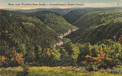 Postcard View From Woodin's Point South Pennsylvania's Grand Canyon