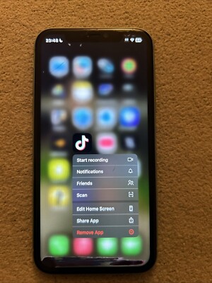 TikTok iPhone 13