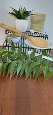 NEEM LEAVES POWDER 100 Organic Premium Quality