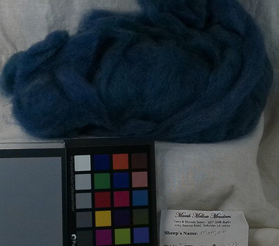 variegated indigo  blue romney wool roving  spin felting fiber art knit crochet