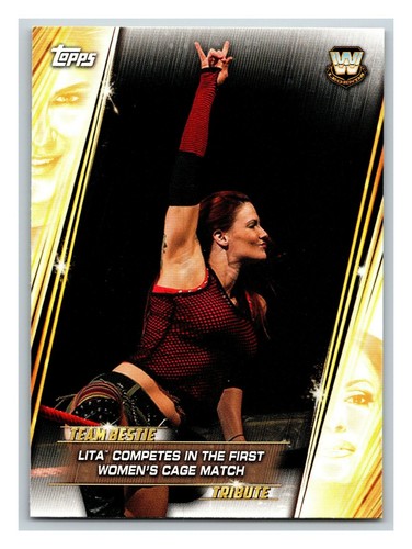 2019 Topps WWE Women's Division - Pick One - Fill Your Set - Picture 230 of 261