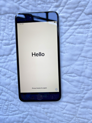 Apple iPhone 6s Plus - 128 GB - Space Gray (Unlocked), 100