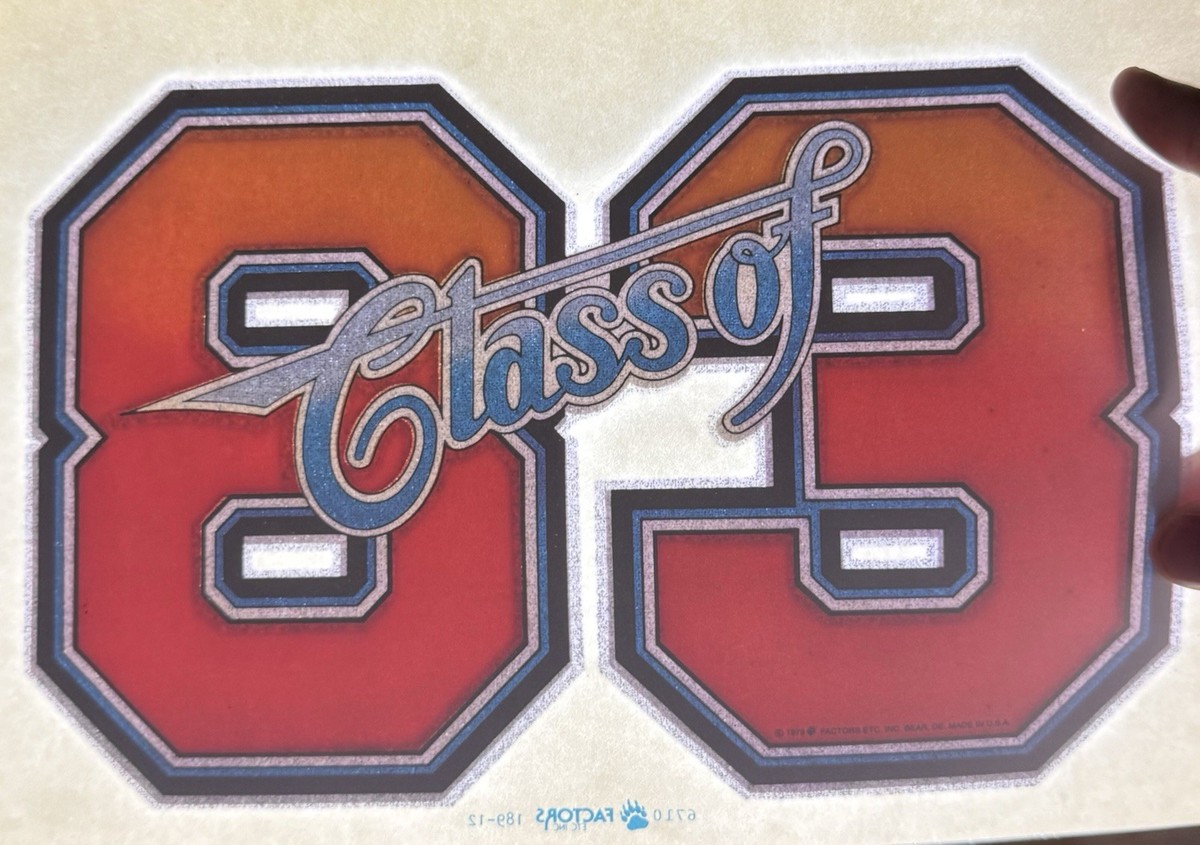Lot of 40 Vintage 80s Class of 1982 83 84 85 T-Shirt Heat
