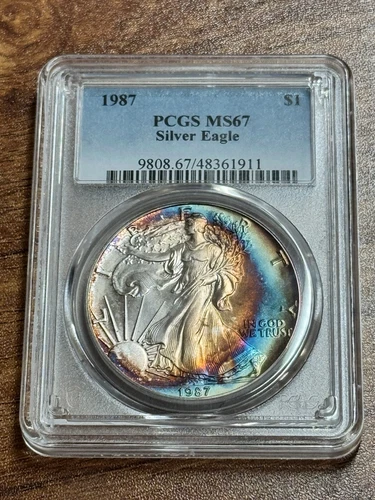1987 American Silver Eagle PCGS MS67 Monster Toning Toned Coin (Slab1077) (TNO)