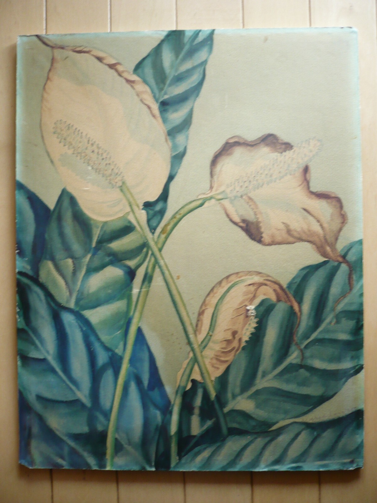 Picture 2 of 10
