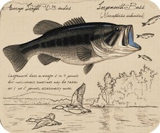 "Largemouth" Bass Computer / Laptop Mouse Pad
