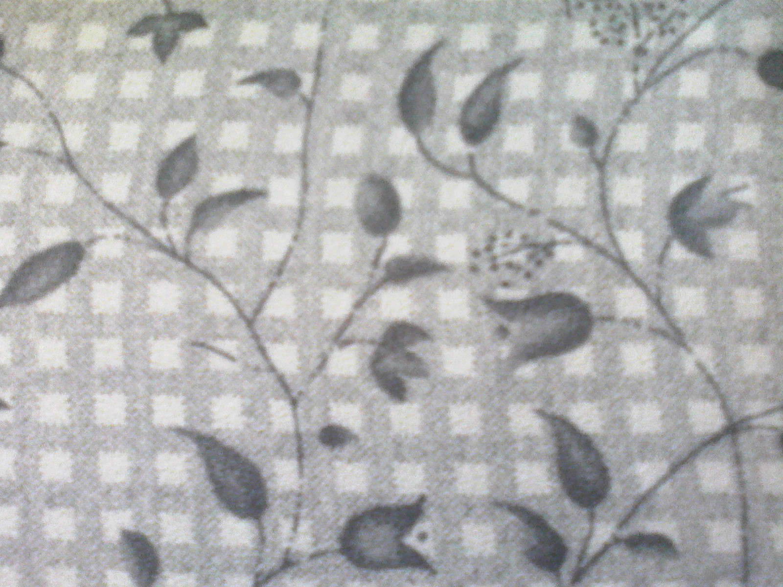 Picture 8 of 13