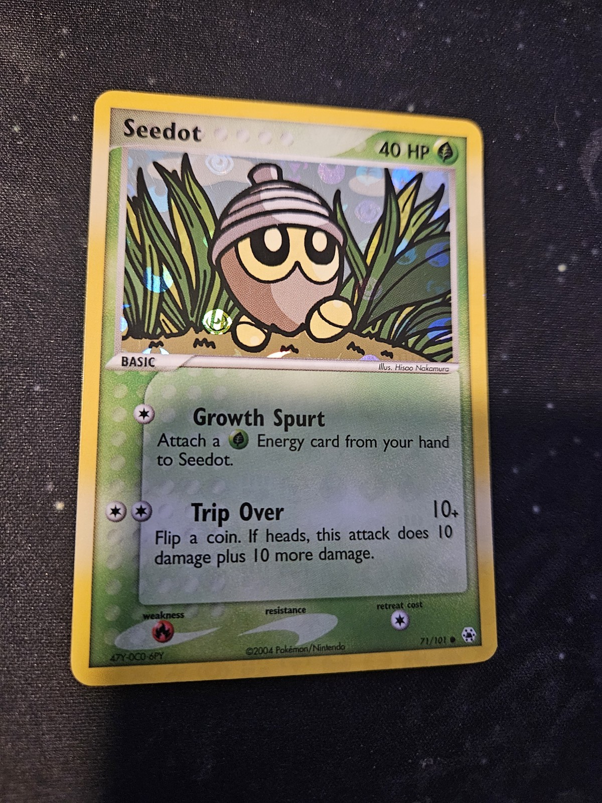 Seedot 71/101 Common Hidden Legends Pokemon Rev Holo LP