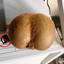 superr thickkk kiwi