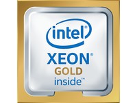 ^Intel Xeon Gold 6242 Tray CPU (CD8069504194101)