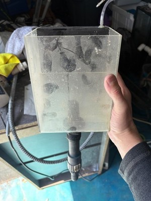CPR CS50 Aquarium Overflow Box