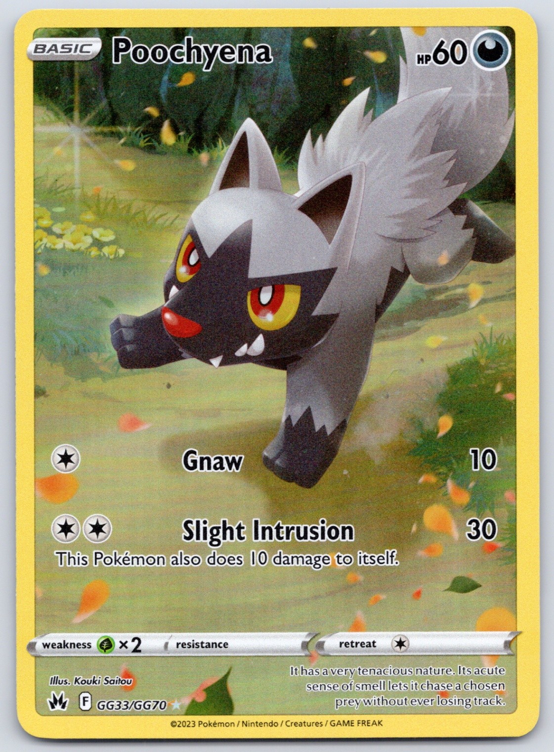 Poochyena GG33/GG70 (NM) - Crown Zenith: Galarian Gallery - Pokemon TCG