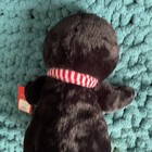 Bild 8 von 12