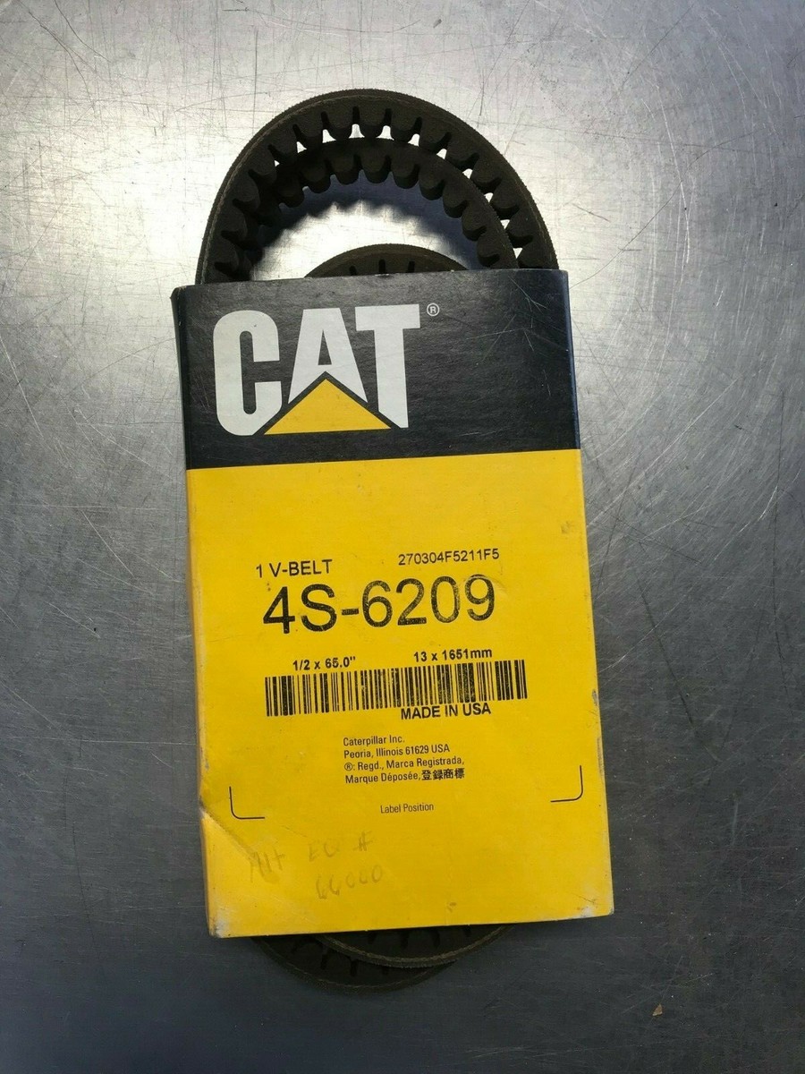 from cat st　10冊 C153406E_77f8a056-d6fd-4e45-