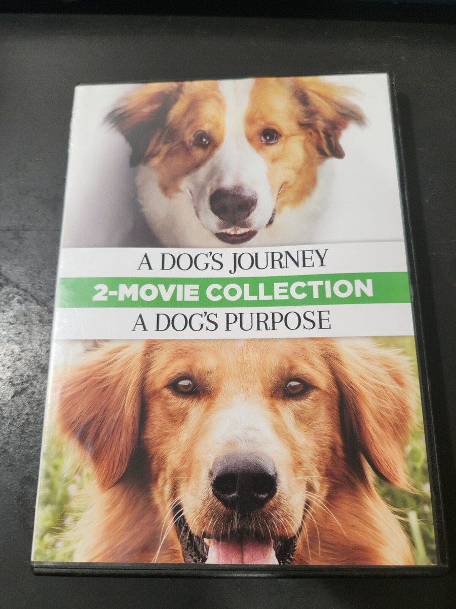A Dog's Journey / a Dog's Purpose (DVD) 191329108291| eBay