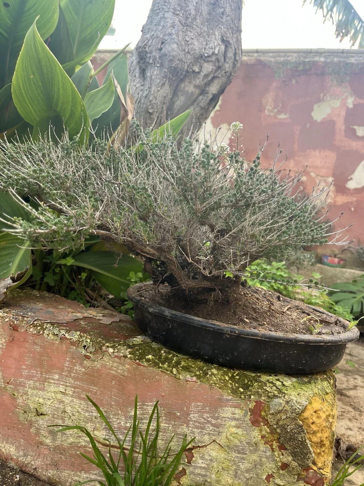 Foto 6 di 6