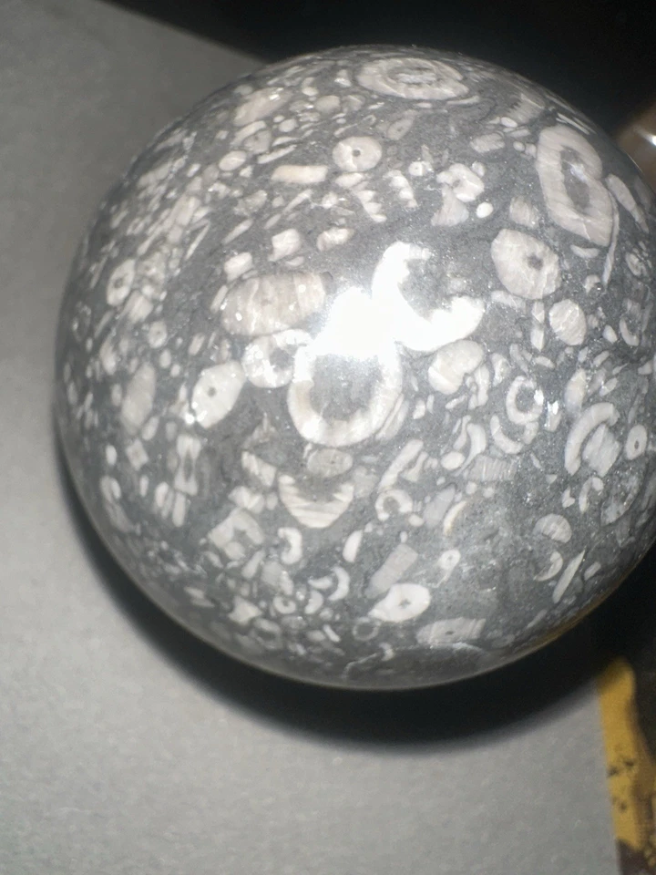 GENUINE Crinoid Fossils Sphere. Rare Find, One-of-a-kind - Image 3 of 4