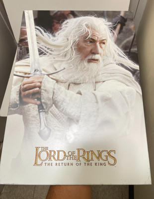 Displate Metal Poster Lord of The Rings Olorin Battle with sword Medium 17''x12''