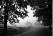 Ikea Bjorksta Misty Country Road Large picture canvas 200 x 140cm NEW