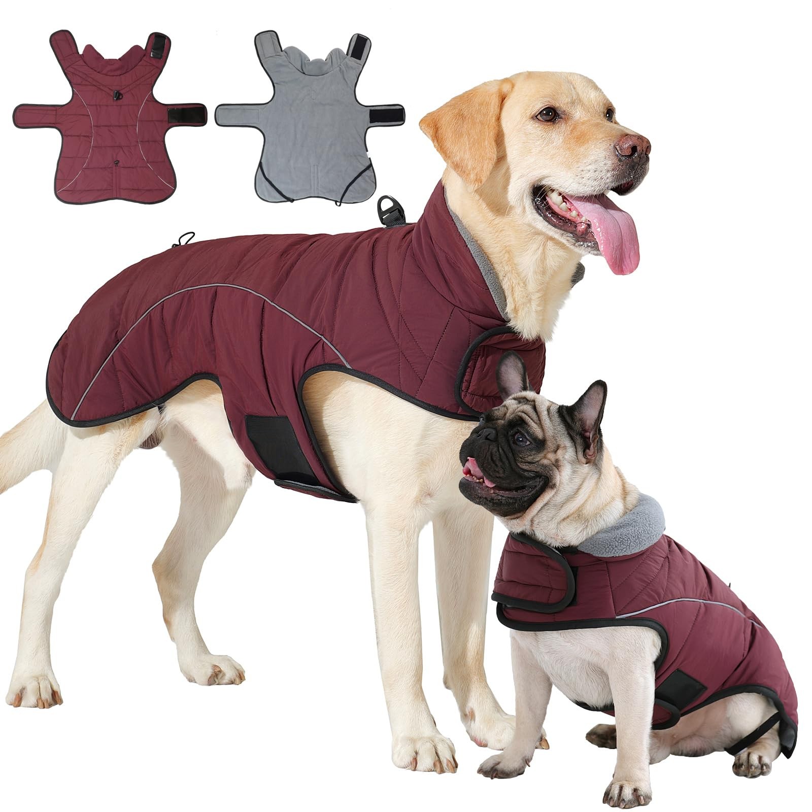 Veste imperméable pour chien avec doublure polaire isolante