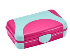 Hard Plastic Pencil Case Durable School Supply Box Pink and Blue