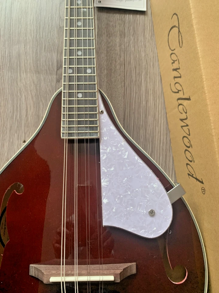 NEW Mandolin By Tanglewood, Model  Number TWMTWR,  Wine Red, Electro Acoustic. - Image 3 of 4