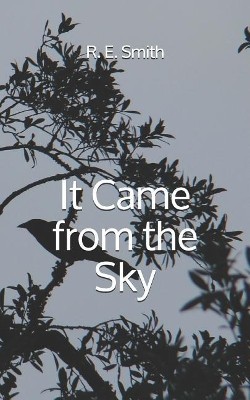 It Came from the Sky By R E Smith - New Copy - 9781793951212