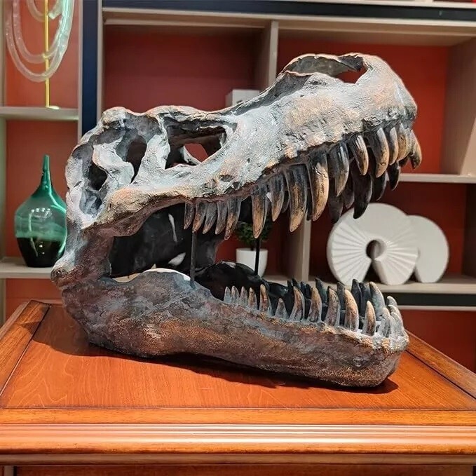 Tyrannosaurus Rex Large Dinsoaur Skull 51.5cm B/strap main image 1