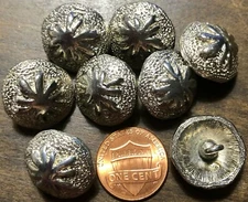 8 Domed Heavy Shiny Silver Tone Metal Shank Buttons 3/4" 19mm US Made 6815