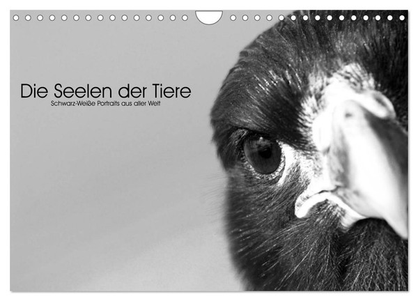 "Calendar 2027 · US Version · The Souls Of Wild Animals (Wall Calendar 2027 12\" ×"-image