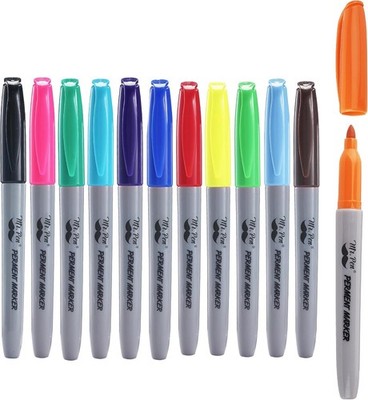 Paint Markers Set of 12 Medium Point Oil-based Art Pens w/Durable Case