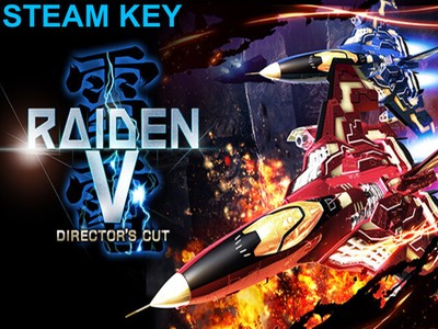 RAIDEN V DIRECTOR'S CUT - STEAM KEY (DIGITAL)   - PC   - GLOBAL   -