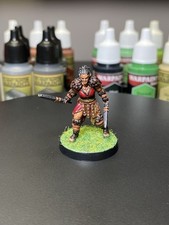 Female Elf Barbarian Miniature Dungeons Dragons DND Painted