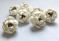 Peony Flowers W/Brown Pollen Sola Balsa Wood Craft Decor Fragrance Bride Bouquet