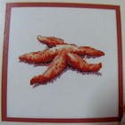Lot of 4 Cross Stitch Patterns Green Apple Jewels of the Sea Collection Shells — photo 7