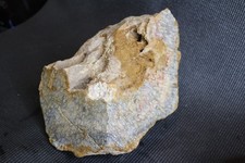 17 Lb 7.4 oz Extra Large Indonesian Fossilized Coral Rough Specimen, Stone, Raw