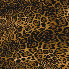 Jaguar Spots Cotton Fabric Rose & Hubble Leopard Animal Print Kid Crafts Sew 44"