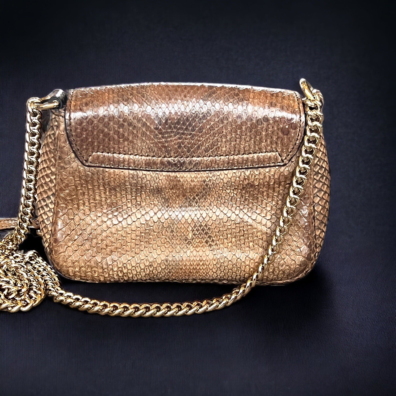 RARE Limited Edition Gucci Soho Python Shoulder B… - image 3