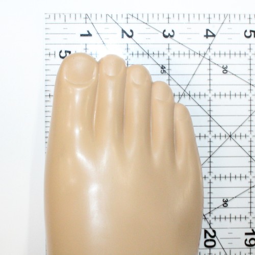 OTTOBOCK COMPLETE SINGLE AXIS PROSTHETIC RIGHT FOOT 1H38 ADAPTER 2R33 Sz 28 NEW? - Picture 10 of 10
