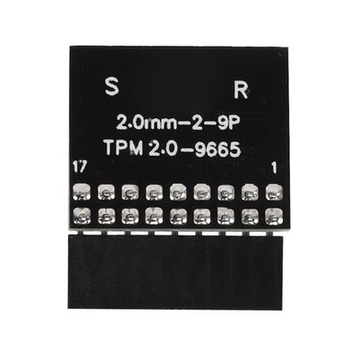 TPM 2.0-Modul LPC 18Pin  Remote-Kartenverschlüsselungs-Sicherheitsmod für ASROCK