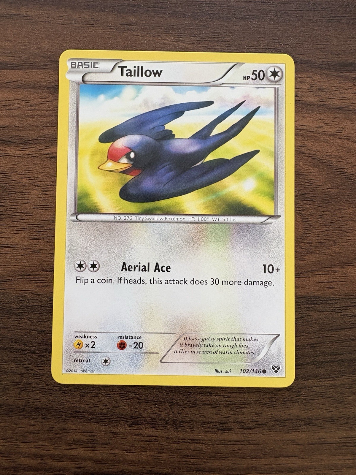 Taillow 102/146  - LP - XY Base Set Pokemon Card - Sui Art