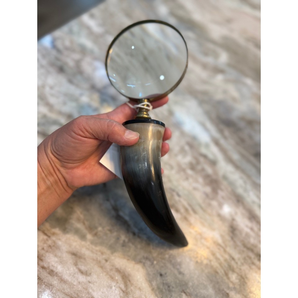 Vintage Horn Handle Magnifying Glass Brass Rim Handheld Desk Accessory Decor